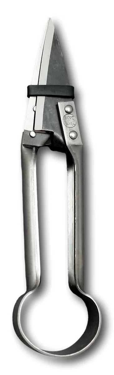 Due Buoi Schafschere, gerade, DB 160/25 - Klingenlänge 5 cm – Gesamtlänge 25 cm